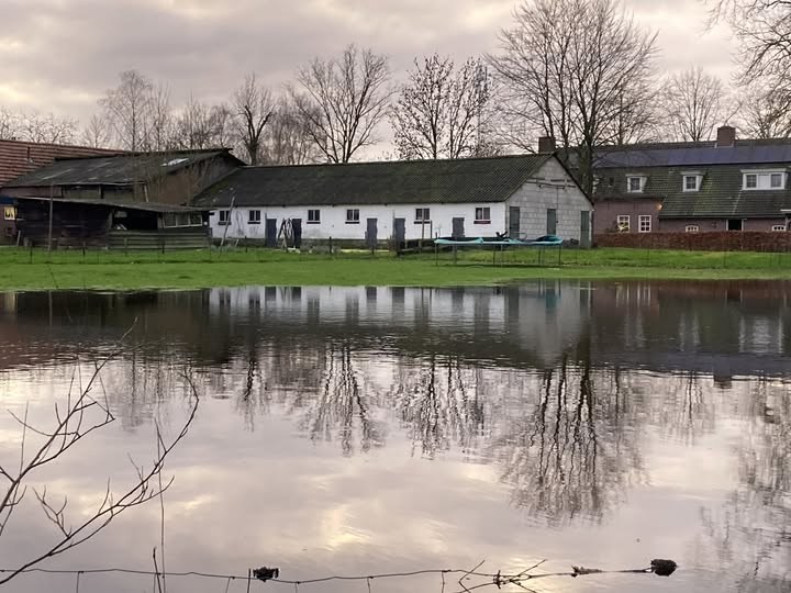 Natte, groene omgeving van het erf